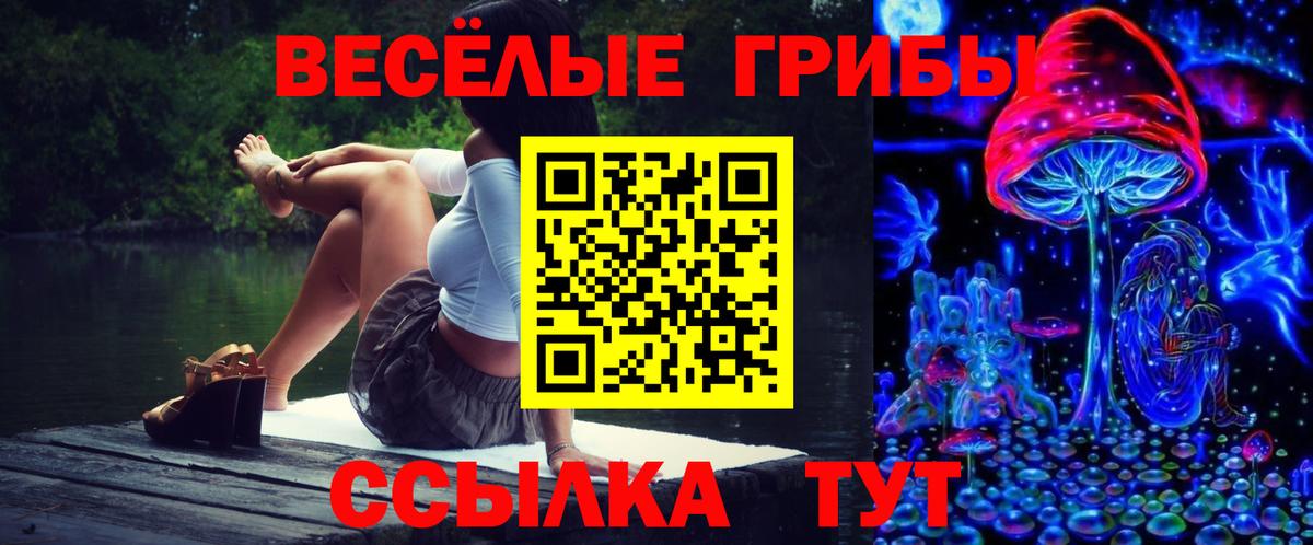 Фрязино  Псилоцибиновые грибы мухоморы  Вход с VPN 